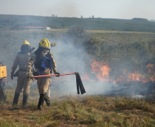 Chuvas e conscientização da população reduzem em 41% incêndios florestais no Paraná em 2025