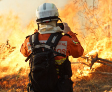 Chuvas e conscientização da população reduzem em 41% incêndios florestais no Paraná em 2025