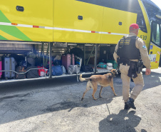 PMPR reforça policiamento nas rodovias estaduais durante Réveillon