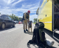 PMPR reforça policiamento nas rodovias estaduais durante Réveillon