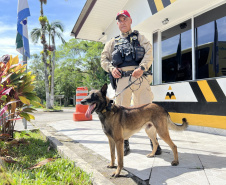 PMPR reforça policiamento nas rodovias estaduais durante Réveillon