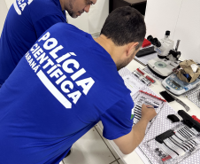Polícia Científica do Paraná intensifica força-tarefa para liberação de armamentos apreendidos