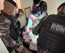 PCPR e PMPR prendem sete suspeitos de movimentar R$ 10 milhões em cetamina em dois meses