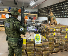 PMPR apreende 1,5 tonelada de maconha escondida em área de mata em Santa Helena