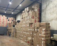 Ação integrada entre PMPR e PMMS apreende mais de 3 toneladas de maconha e 40 mil pacotes de cigarros