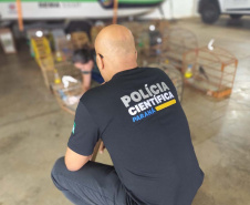 Dia do Perito: investimentos em ciência garantem investigações criminais rigorosas