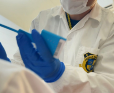 Paraná amplia banco de perfis genéticos para casos criminais com coleta em Foz do Iguaçu