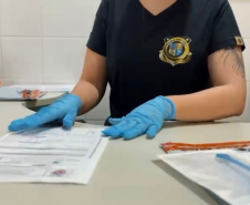 Paraná amplia banco de perfis genéticos para casos criminais com coleta em Foz do Iguaçu