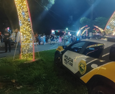 Em 14 dias, reforço operacional de Natal da PMPR resulta em 294 prisões