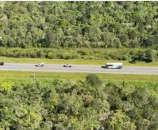 Polícia Penal do Paraná realiza transferências de 134 custodiados para reforço da segurança no litoral