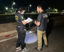 Perícia criminal é fundamental para esclarecer ocorrências de trânsito; veja como funciona