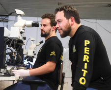 Polícia Científica do Paraná amplia em quase 50% a destruição de armas e vestígios balísticos em 2025