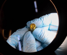 Polícia Científica do Paraná amplia em quase 50% a destruição de armas e vestígios balísticos em 2025