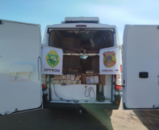 Ação integrada em Cascavel apreende mais de 220 quilos de drogas e causa prejuízo de R$ 11 milhões