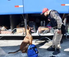 PMPR realiza operação contra o tráfico de drogas em rodovia de Pontal do Paraná