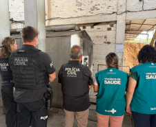 PCPR realiza incineração de drogas apreendidas em Matinhos e Guaratuba