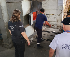 PCPR realiza incineração de drogas apreendidas em Matinhos e Guaratuba