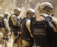 SOE e SOT: como operam os grupos especiais da Polícia Penal do Paraná