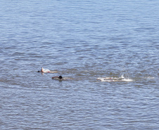 Porto São José recebe Troféu Elite, que treina bombeiros para resgates aquáticos