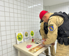 PMPR prende dois homem em flagrante e apreende 342 porções de drogas em Matinhos