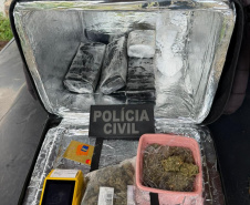 PCPR identifica envolvidos, prende mandante de duplo homicídio e apreende drogas em Matinhos