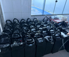 Polícias do Paraná apreendem a segunda maior carga de cocaína do ano: droga seria enviada à Europa