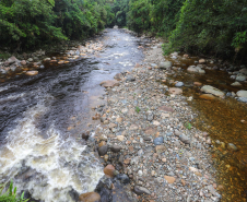 CBMPR alerta veranistas sobre risco de cabeças d’água durante o verão