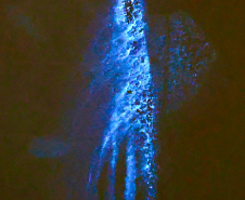 Luminol reforça atuação da Polícia Científica na identificação de vestígios ocultos