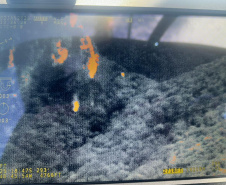 Forças de segurança mobilizaram centenas de profissionais para buscas no Pico do Paraná