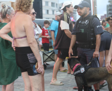 Cães da Polícia Penal reforçam segurança no Litoral durante o Verão Maior Paraná