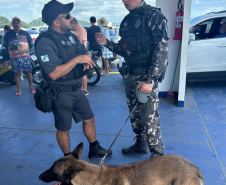 Forças de segurança realizam ação integrada com cães de faro na balsa de Guaratuba