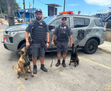Forças de segurança realizam ação integrada com cães de faro na balsa de Guaratuba