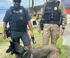 Forças de segurança realizam ação integrada com cães de faro na balsa de Guaratuba
