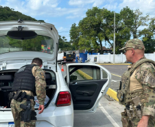Forças de segurança realizam ação integrada com cães de faro na balsa de Guaratuba