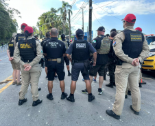 Forças de segurança realizam ação integrada com cães de faro na balsa de Guaratuba