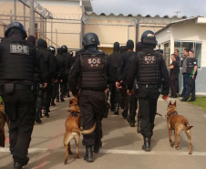 Preparo e tecnologia: Setor de Operações Especiais da Polícia Penal completa 12 anos