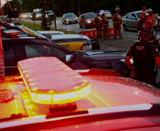 Forças de segurança promovem fiscalização integrada com apoio de cães no Litoral