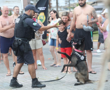 Cães da Polícia Penal reforçam segurança no Litoral durante o Verão Maior Paraná