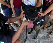 Cães da Polícia Penal reforçam segurança no Litoral durante o Verão Maior Paraná