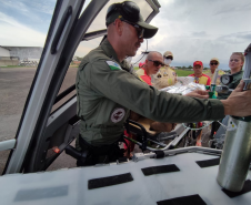 Bombeiros realizam resgate após queda de plano elevado no Litoral