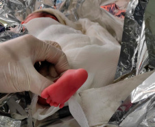 Helicóptero Arcanjo 01 transporta recém-nascida no Verão Maior Paraná