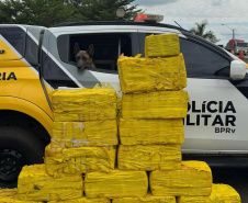 PMPR e PCPR apreendem quase 150 toneladas de drogas com apoio de cães em 2025