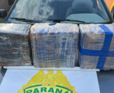 PMPR apreende 30 quilos de maconha e prende condutor na PR-488