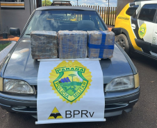 PMPR apreende 30 quilos de maconha e prende condutor na PR-488
