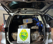PMPR apreende mais de 1,2 tonelada de maconha e recupera veículo furtado em Santa Helena