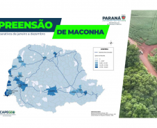 Paraná apreende 1,5 tonelada de drogas por dia em 2025 e tira R$ 2 bilhões do tráfico