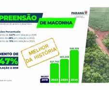 Paraná apreende 1,5 tonelada de drogas por dia em 2025 e tira R$ 2 bilhões do tráfico