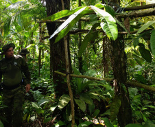 Operação ambiental da PMPR no Superagui destrói estruturas ilegais na APA de Guaraqueçaba