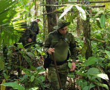 Operação ambiental da PMPR no Superagui destrói estruturas ilegais na APA de Guaraqueçaba