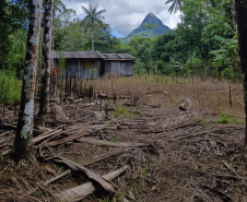 Operação ambiental da PMPR no Superagui destrói estruturas ilegais na APA de Guaraqueçaba